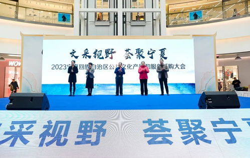 科技中介服務(wù)賦能公共文化新未來 2023寧夏公共文化產(chǎn)品和服務(wù)采購大會在銀川成功舉辦