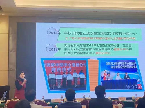 向艷 探索科技中介服務(wù)新模式，激活創(chuàng)新生態(tài)系統(tǒng)